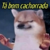 Tá bom cachorrada