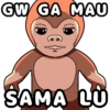 WUT WUT WUT Monkey Meme 5