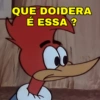 QUE DOIDERA É ESSA ?