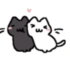 Gatitos  10