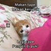 Kata kata manis 13