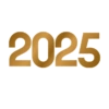 AÑO NUEVO 2025  7