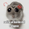 ratita al borde del colapso