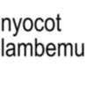 nyocot lambemu