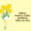 PORQUE MERECES FLORES AMARILLAS TODOS LOS DÍAS