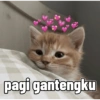 pagi gantengku