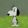 Snoopy🐕🌼🪄 11