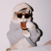 Cat cute  6