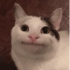 Memes Ramdons 10