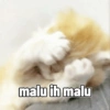 malu ih malu