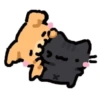 Cat 6
