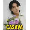 CASAVA
