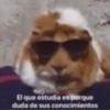 El que estudia es porque duda de sus conocimientos