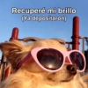 Stickers pal grupo so😎😂 9