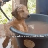 Reações super fofas 7