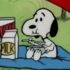 Snoopy  11