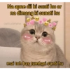 Cattiesays 😺🐈 8
