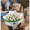 Animalitos Random! 🐱🐵 8