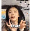 rawrr 1754