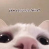já é segunda-feira?