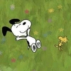 🫐 SNOOPY Mood 🫐 5 14