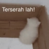 Ngambek 13