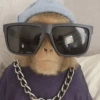 APENAS MACACOS 🤣 15