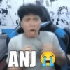ANJ