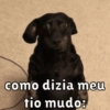 IRONIAS PARA VOCÊ!! 13