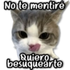 No te mentiré Quiero besuquearte