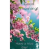 Good morning 15