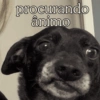 procurando ânimo