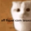 aff fiquei com tesao