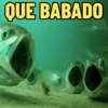 QUE BABADO