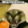 Mandarina