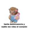 tanta delincuencia y nadie me roba el corazón