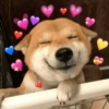 Amor com Corações 15