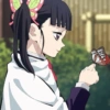 Demon slayer 16