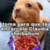 toma para que te encarcele Claudia sheibahum