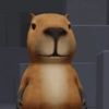 🦛✨️Capibara Pal Chat✨️🦛 6
