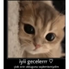 Günaydın-iyi geceler 24