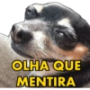 OLHA QUE MENTIRA