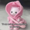 Yo no caí en sus mentiras, yo me tiré