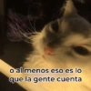 ANIMALITOS VARIADOS 🌸🐽 10