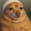 Memes cachorro 13