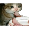 Michis Sad 10