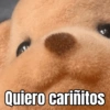 Quiero cariñitos
