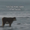 não há mais nada a ser fazido Gum sum