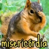 misericórdia