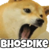 Dog Memes 5